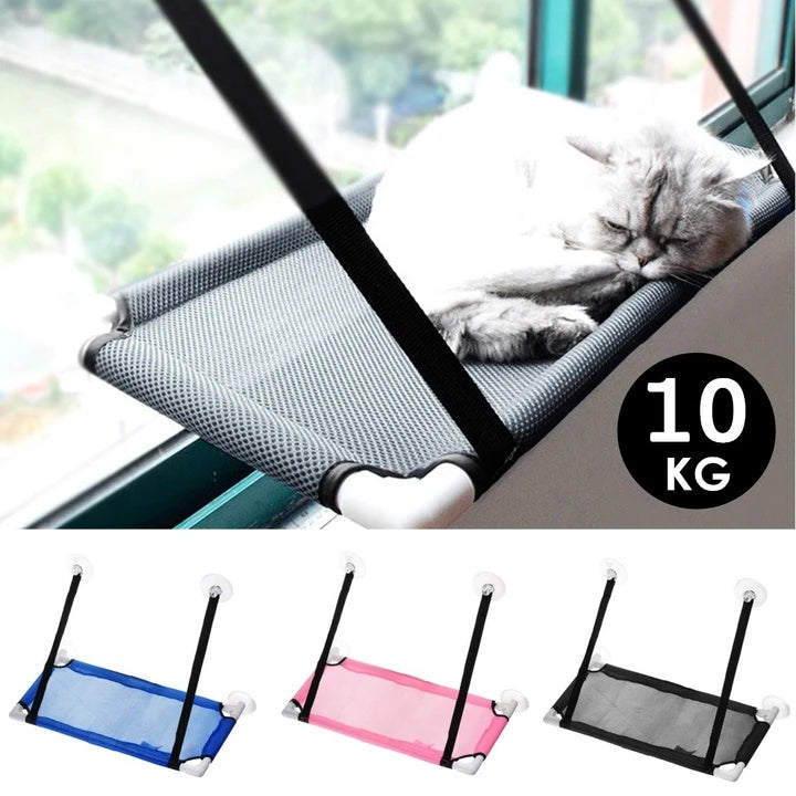 Perchoir confortable pour animaux de compagnie près de la fenêtre pour un repos ultime