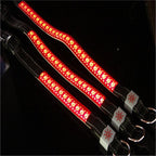 Glow Up LED Collar for Happy Night Walks